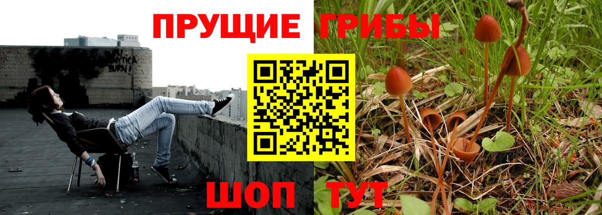 купить закладку  Псилоцибиновые грибы GOLDEN TEACHER  Вход с VPN  Первоуральск 